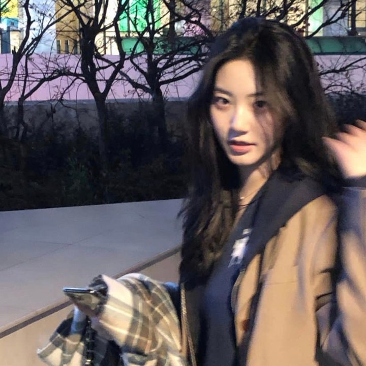 怕羞的黄莺 海报